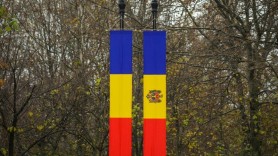 Deputat român: Pentru a face Unirea nu sunt suficiente doar declarațiile politice